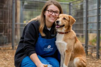 animal shelter volunteer